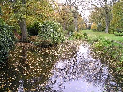 Engelse landschapstuin op Buitenplaats Beeckestijn in Velsen-Zuid