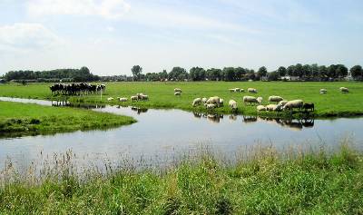 Akersloot Klaas Hoorn en Kijfpolder, veenpolder tussen dorp Akersloot en Alkmaardermeer