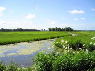 De Dije is de bedding van het Oer-IJ 