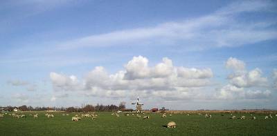 Dorregeesterpolder tussen Limmen en Uitgeest