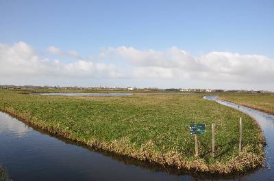 Castricum