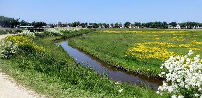 Klaas Hoorn en Kijfpolder bij Akersloot