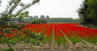 Zanderij Castricum 2004