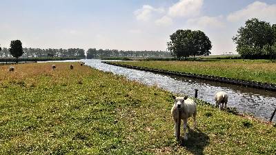 Elke boerderij aan de Westergeest op de strandwal van Uitgeest heeft zijn eigen 'notsloot' naar het Binnenmeer. Vandaar kon over het water de weilanden in de Uitgeesterbroekpolder worden bereikt.