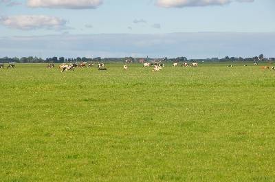 Open landschap aan de oostkant van Uitgeest