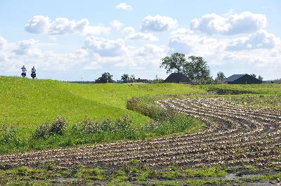 Oude zeedijk in de polder bij Assendelft