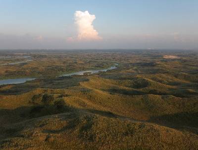 Castricum. Jonge duinen.