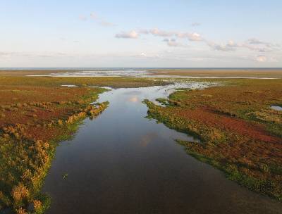 Slenkenlandschap 2