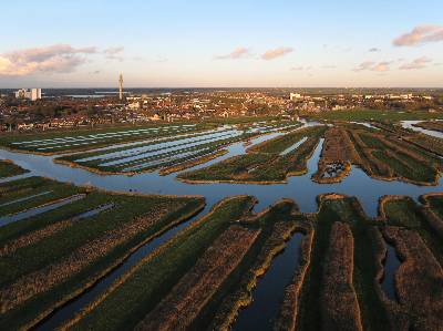 zaanstad-guisveld-ontginningspatroon