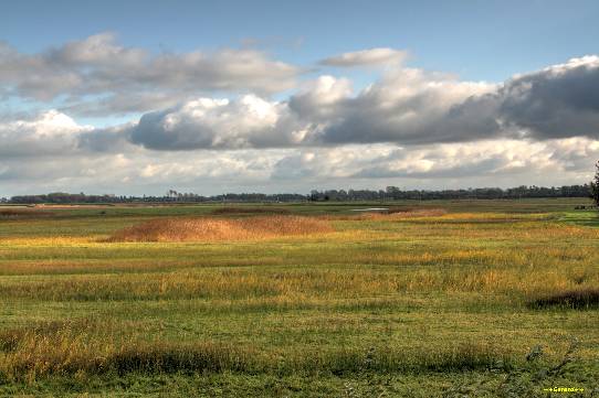 Schoonwatervallei 7-11-2016.