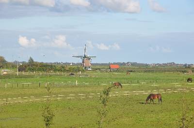 De Dorregeester in Uitgeest