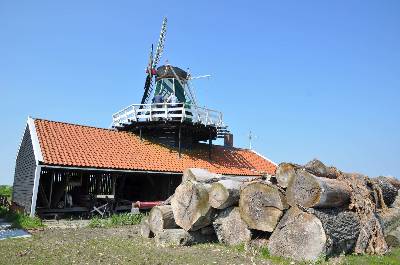 Molentje op erfgoedpark Uitgeest