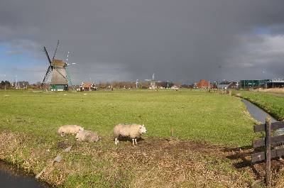 De Kat en op de achtergrond De Dog in Uitgeest