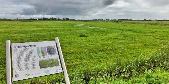 Buitendijks weid - Castricum