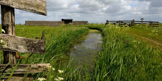 Hempolder