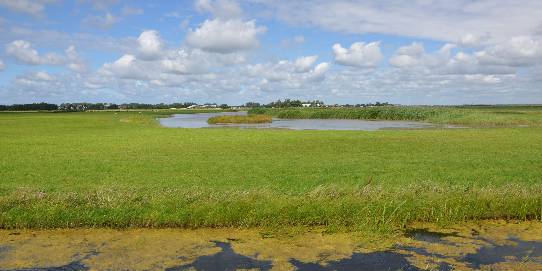 buitengebied castricum