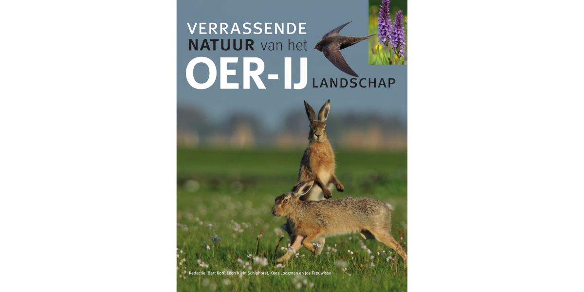 cover boek Verrassende Natuur van het Oer-IJ landschap