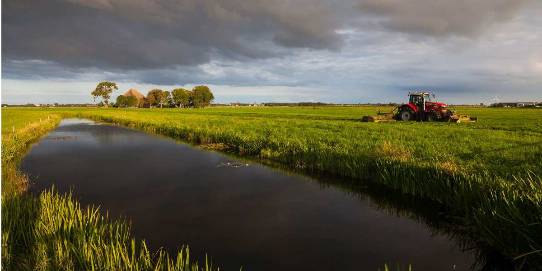 Oostzanerveld. ©Tom Kisjes 