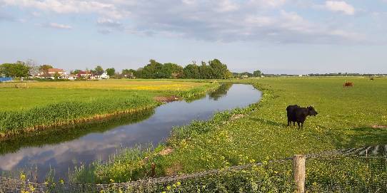 Foto: Schulpvaart bij Limmen - Lia Vriend