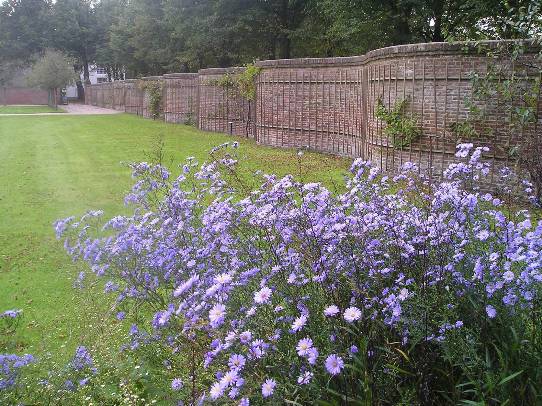 Bloemenwaaier in de stijltuinen van Buitenplaats Beeckestijn in Velsen-Zuid