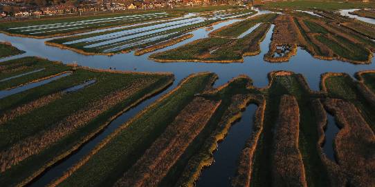 veenweides-guisveld